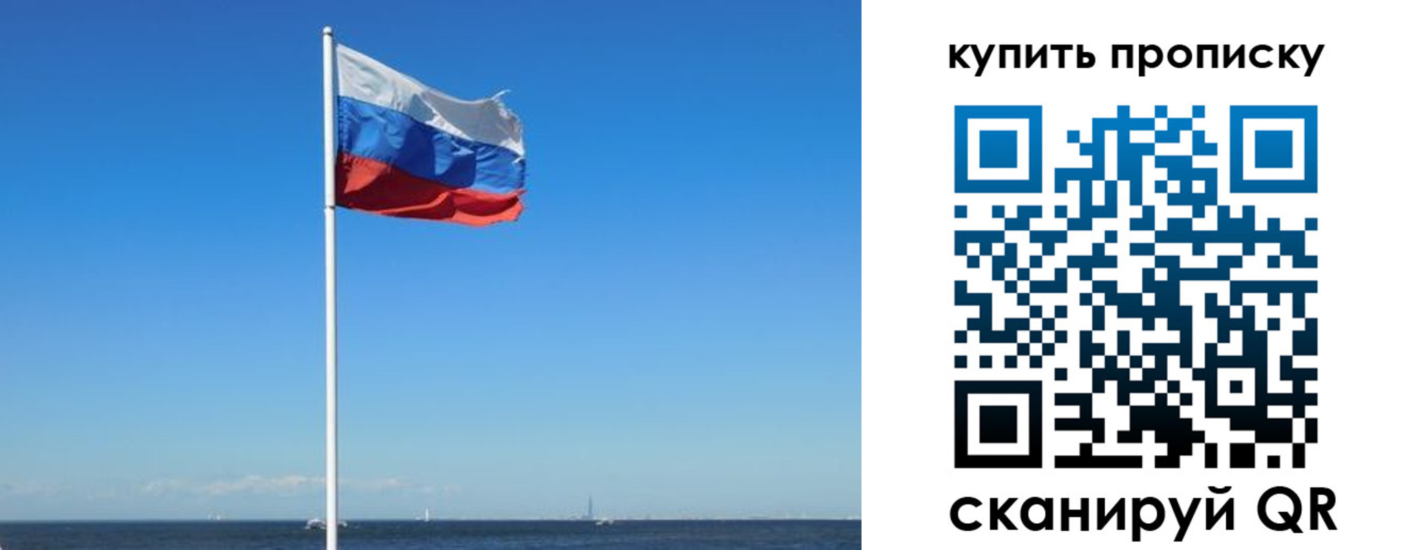 прописка для школы в Электростали